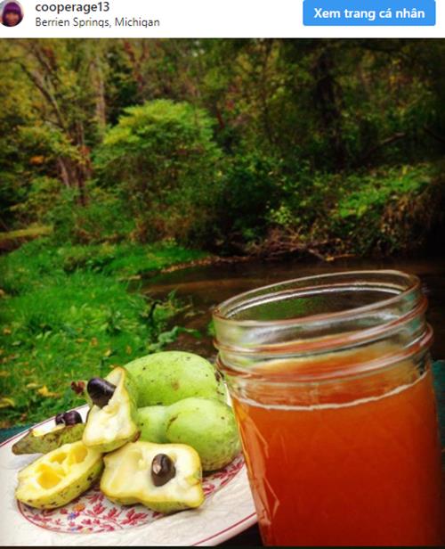 Loại quả "đánh lừa" thị giác "ngon không tưởng" nhưng chưa bao giờ được thương mại hóa - 4