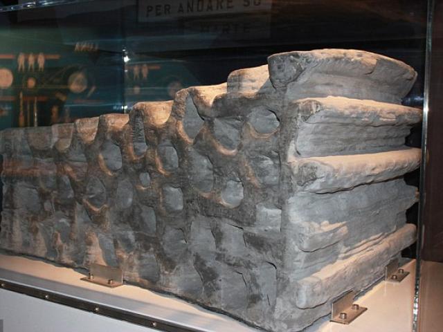 Phi thường - kỳ quặc - Nhà được xây dựng từ gạch trên mặt trăng?