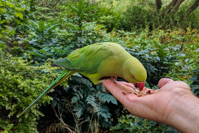 Pixel 3 XL chưa ra mắt, nhưng đã khoe ảnh chụp siêu đẹp - 2
