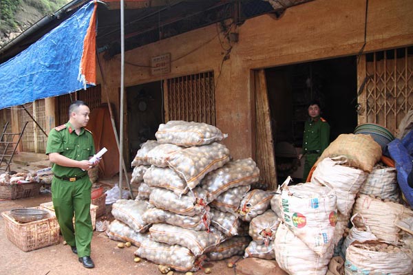 Khoai tây nhập khẩu vẫn đội lốt “hàng Đà Lạt”, vì sao? - 1