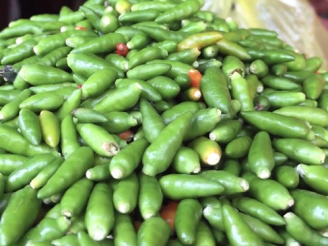 Thị trường - Tiêu dùng - Đặc sản ớt xiêm sạch 100% nổi danh đất Quảng Ngãi khó mua hơn vàng