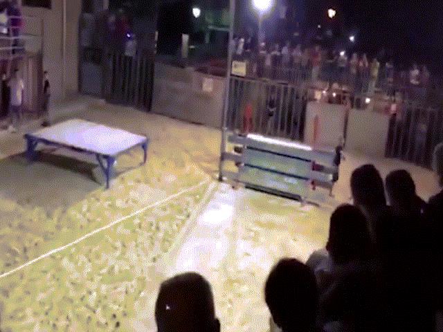 Thế giới - Bò tót bị đốt sừng, nổi điên húc tung cô gái Tây Ban Nha