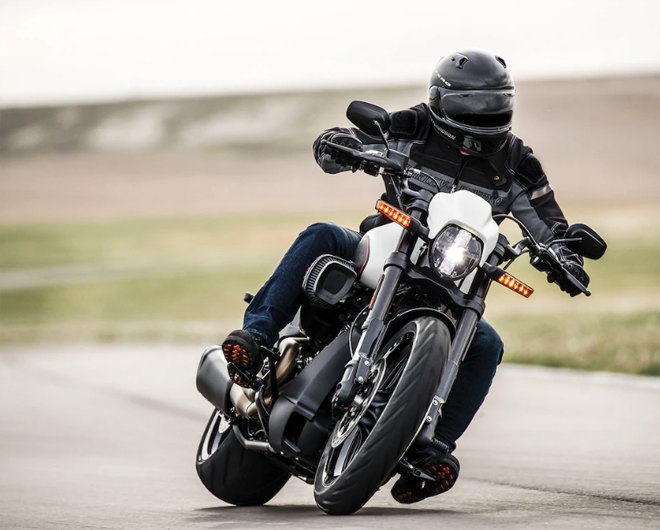 Ra mắt 2019 Harley-Davidson FXDR 114, giá 500 triệu đồng - 3