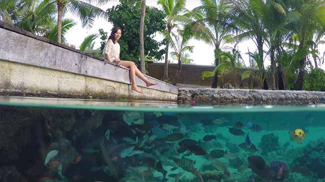 Bora Bora, hòn đảo được mệnh danh là “Maldives” của nước Pháp - 4