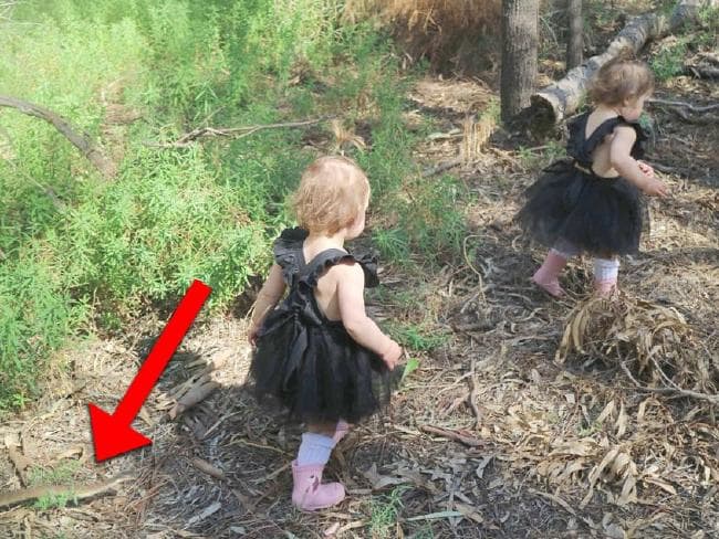 Úc: Xem lại ảnh, rủn người thấy "tử thần" theo sát hai con gái - 3