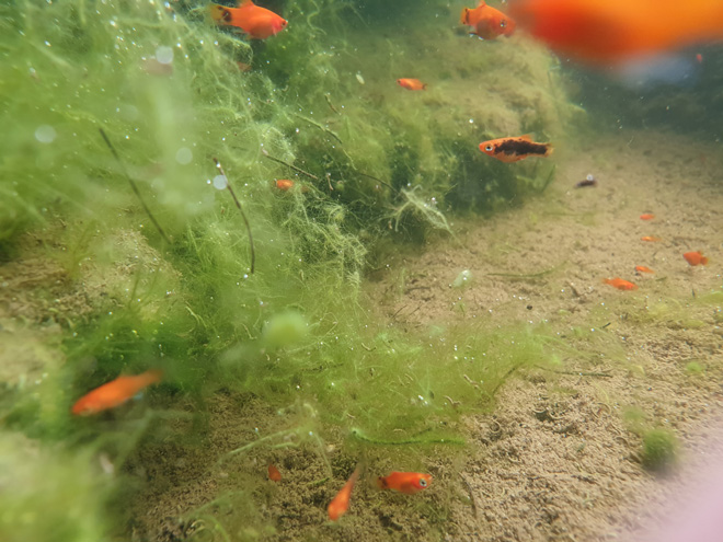 Mổ xẻ camera sau kép của Galaxy Note 9: Khó tìm nhược điểm - 9