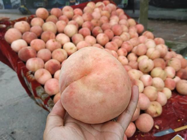 Thị trường - Tiêu dùng - Sự thật về mận, đào “khổng lồ” đóng mác nông sản Sa Pa