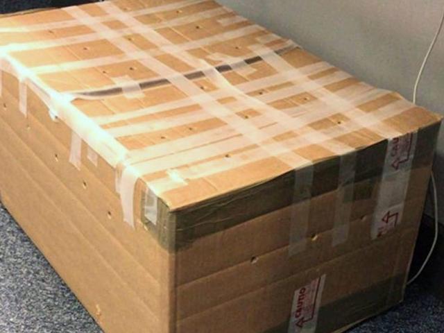 Thế giới - Cảnh sát Anh nhận được hộp bí ẩn, mở ra thấy con vật kỳ quái