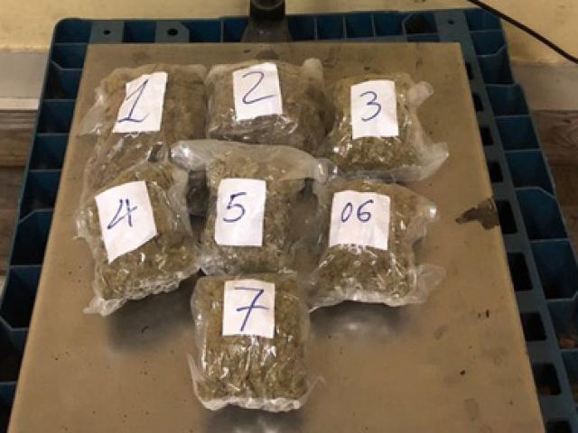 Pháp luật - Hải quan Tân Sơn Nhất bắt 57 kg cần sa chuyển về từ Mỹ