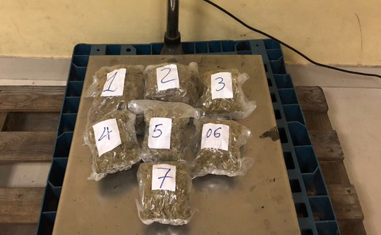 Hải quan Tân Sơn Nhất bắt 57 kg cần sa chuyển về từ Mỹ - 1