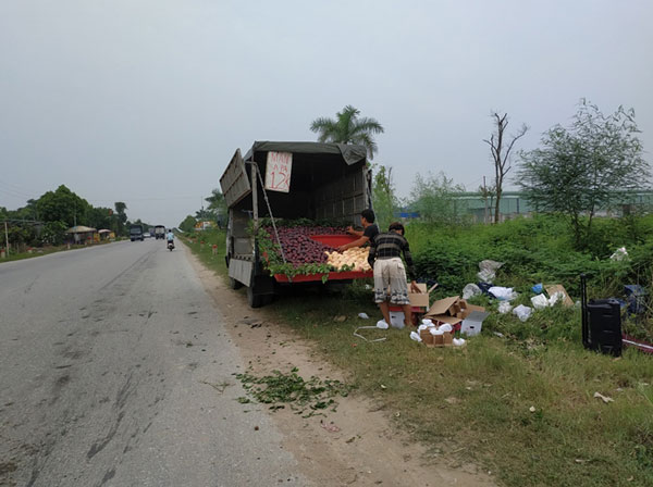 Sự thật về mận, đào “khổng lồ” đóng mác nông sản Sa Pa - 3