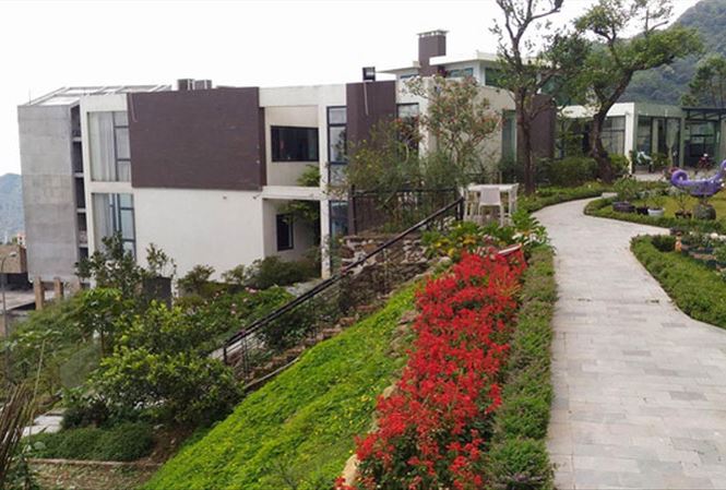 Nóng 24h qua: Vì sao cô gái mặc váy quậy tưng bừng trên nóc xe container? - 4