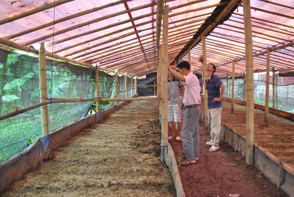 2 lần bỏ giảng đường, 9X thành công nhờ nuôi giun quế - 3