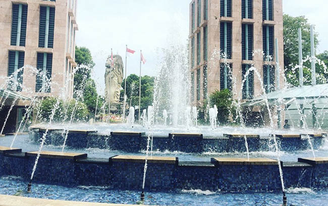 Tới Singapore nhất định phải ghé thăm công viên sư tử biển Merlion Park - 1