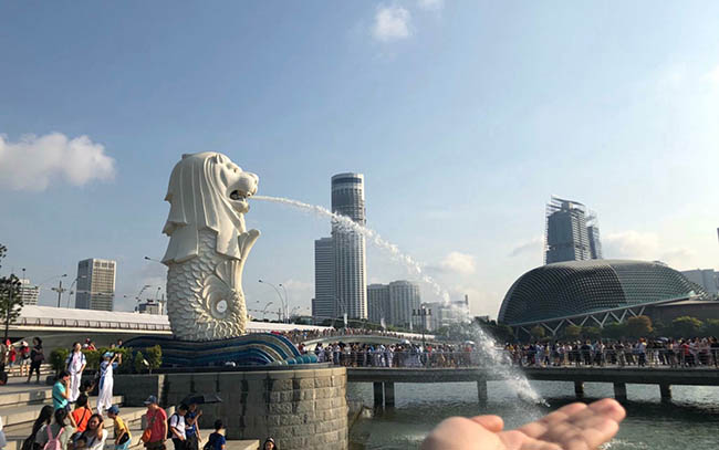 Tới Singapore nhất định phải ghé thăm công viên sư tử biển Merlion Park - 6