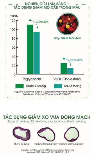 “Sự thật” về công dụng của tinh dầu thông đỏ Hàn Quốc - 2