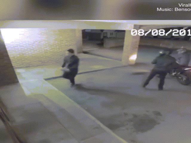 Media - Đạo chích bị tóm gọn vì đồng bọn ngớ ngẩn