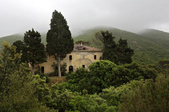 Ngôi nhà hoang được bao quanh bởi những ngọn đồi um tùm ở Montevecchio, một khu mỏ cũ ở Sardinia.