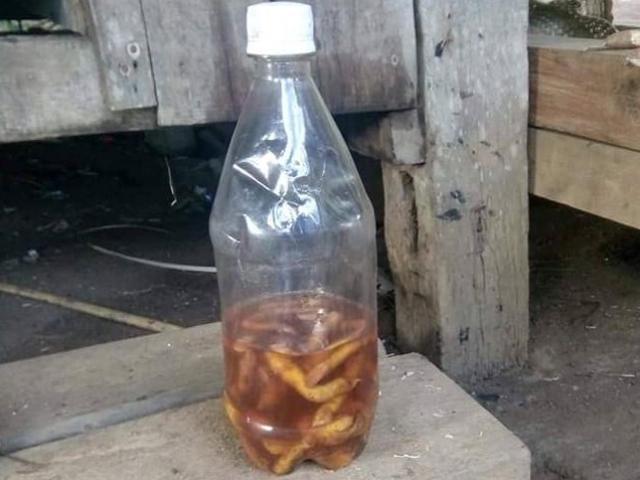 Tin tức trong ngày - Hai người tử vong sau khi uống rượu ngâm rễ cây lạ