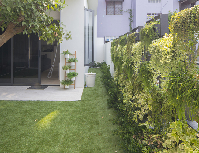 Những khoảng không xen lẫn những hàng cây xanh mát giúp người ở hòa mình với thiên nhiên.