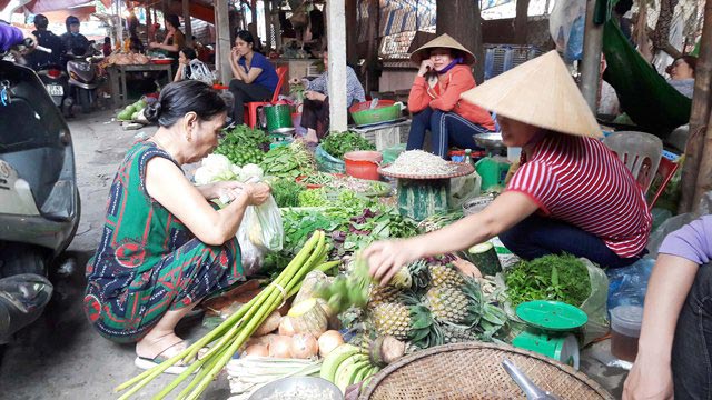 Nghệ An: Sau mưa lũ giá rau xanh, giá heo hơi, cá tăng chóng mặt - 2