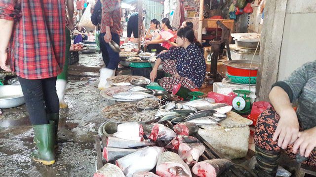 Nghệ An: Sau mưa lũ giá rau xanh, giá heo hơi, cá tăng chóng mặt - 4
