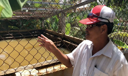 Vỡ mộng "cơn lốc vàng đen" titan: Cuộc chiến giành sự sống - 1