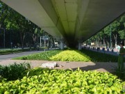 Pháp luật - Người đàn ông chết bí ẩn dưới gầm cầu vượt thép ở Sài Gòn
