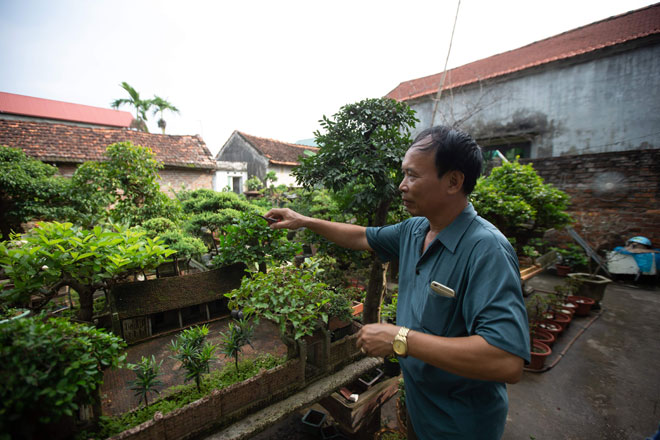 Kỳ lạ căn nhà 3 gian rộng chưa đầy 1m2, được lợp bằng 11.000 viên ngói - 1