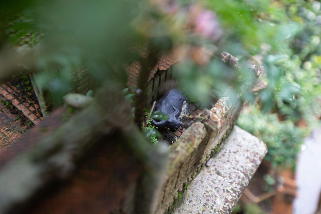 Kỳ lạ căn nhà 3 gian rộng chưa đầy 1m2, được lợp bằng 11.000 viên ngói - 4