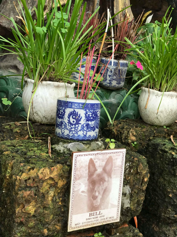 Chi hơn chục triệu đồng chỉ để an táng cho chó, mèo tại Hà Nội - 4