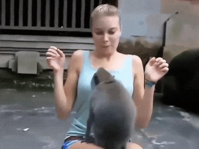 Video Clip Cười - Gái xinh hoảng hốt khi bị khỉ "sàm sỡ" trong công viên