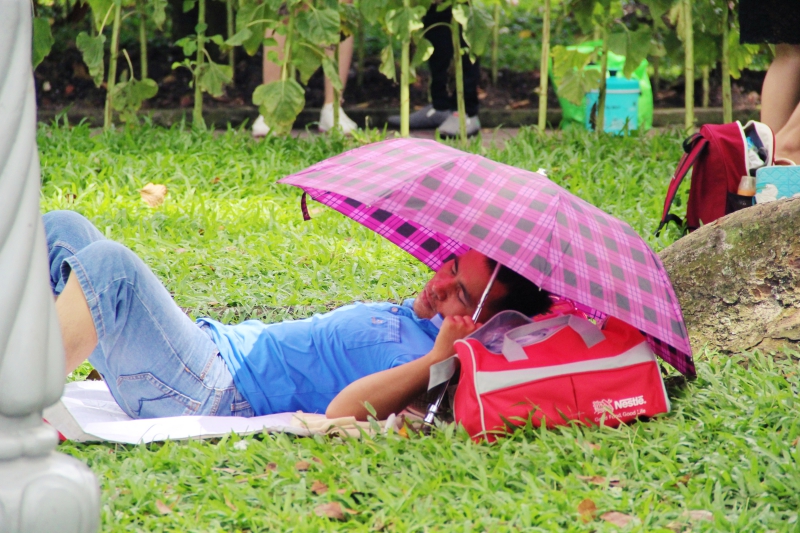 Đi chơi lễ, người dân trải bạt, mắc võng la liệt trong Thảo Cầm Viên - 9