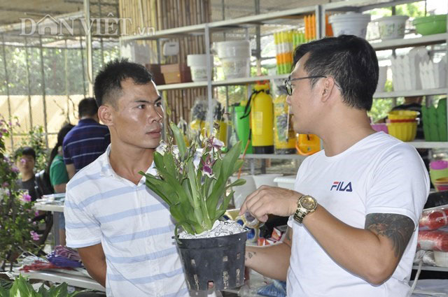 Quảng Ninh: Chợ bán gà cảnh, thiên nga đen và vô số đồ cũ rích - 6