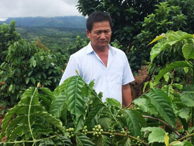 Thị trường - Tiêu dùng - Tỷ phú trồng "lung tung" sắm xe hơi đi làm trang trại