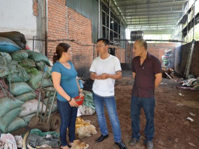 Kết luận điều tra vụ hồ tiêu trộn pin ở Đắk Nông