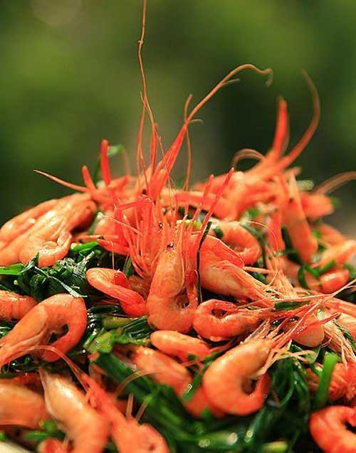 Tôm càng kích thích sinh dục, chữa liệt dương - 1