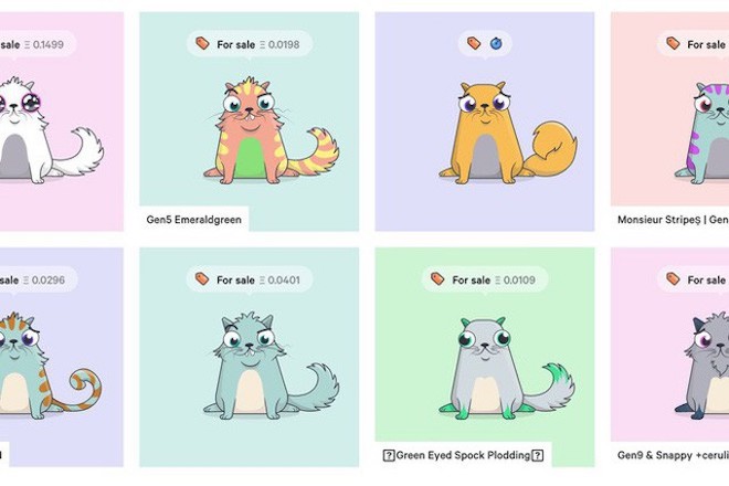 "Mèo ảo" được dân chơi lùng mua với giá gần 4 tỷ đồng - 1