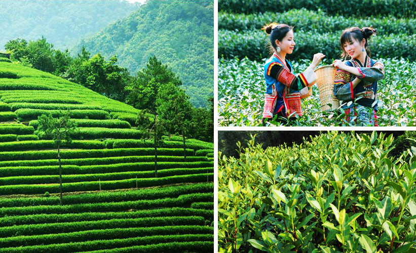 Đến thăm thành phố đẹp nhất thế giới tại Trung Quốc - 9