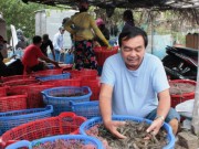 Thị trường - Tiêu dùng - Liều nuôi tôm trải bạt, ngay vụ đầu đã thành... tỷ phú