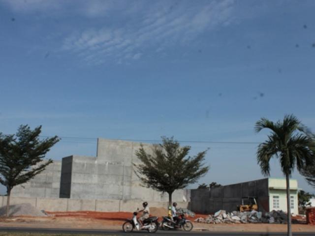 Thị trường - Tiêu dùng - Dân 2 huyện và 1 thành phố mất ăn, mất ngủ vì loài chim "tiền tỷ"