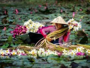 Du lịch - Những trải nghiệm không thể bỏ lỡ khi ghé miền Tây vào mùa nước nổi
