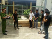 Pháp luật - Bắt nhóm người vào rừng đe dọa cán bộ, cướp gỗ lậu