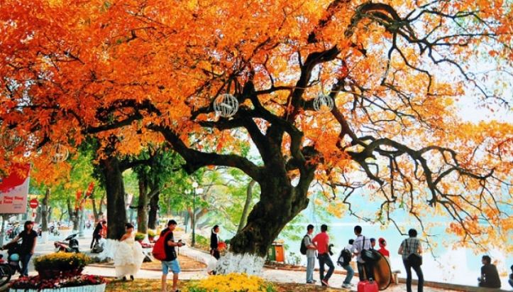 Những chuyến du lịch mùa thu sao có thể bỏ lỡ những điểm đến lãng mạn nhất châu Á này - 15