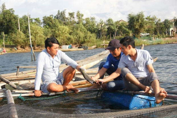 Làm giàu ở nông thôn: Nuôi loài cá dữ dằn bán 100 ngàn/kg - 2