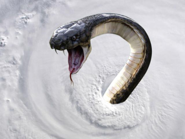 Thế giới - Cảnh báo siêu bão cuốn rắn độc "bay tứ tung" khắp tiểu bang Mỹ