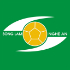 Chi tiết bóng đá SLNA - Đà Nẵng: Siêu kịch tính 2 bàn cuối trận (KT) - 1