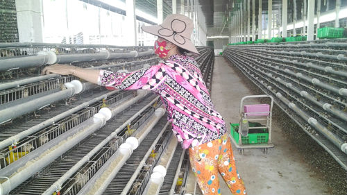 “Vua trứng cút” miền Tây bán trứng cút cho Nhật, thu 1 tỷ/tháng - 1