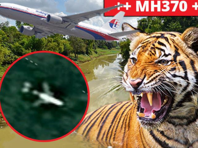 Nguy hiểm sống còn đe dọa đội tìm kiếm MH370 trong rừng rậm Campuchia