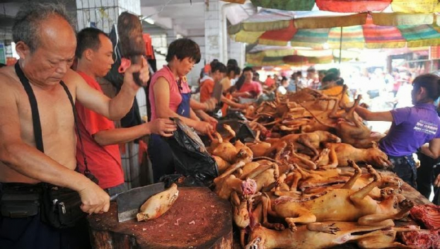 Vì sao “kinh đô thịt chó” Nhật Tân biến mất khi đang thịnh vượng? - 1